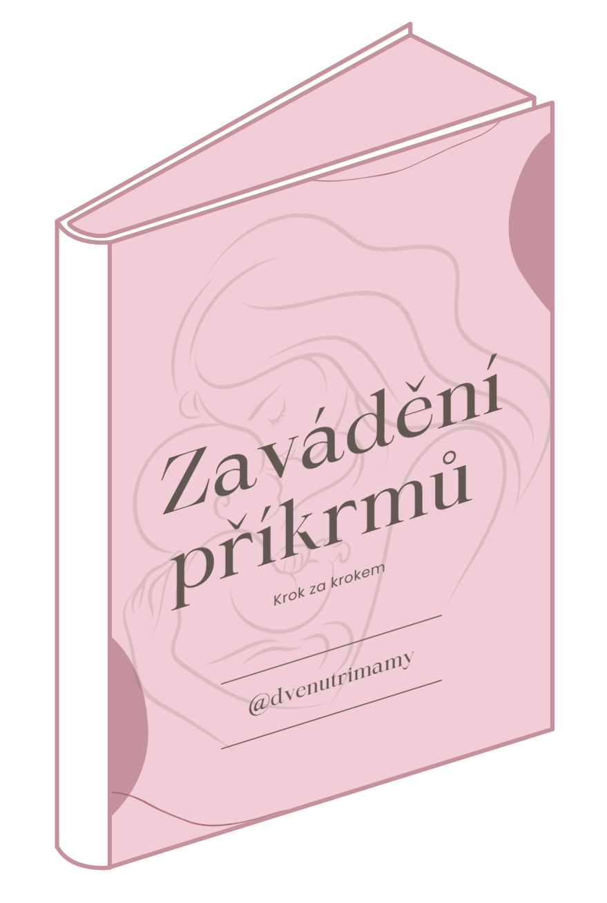 Vzorový jídelníček